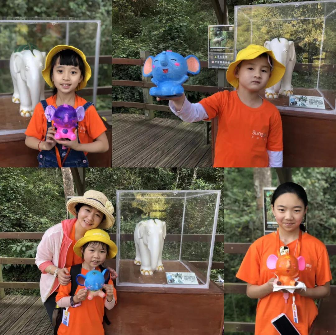 西雙版納研學夏令營 西雙版納研學夏令營