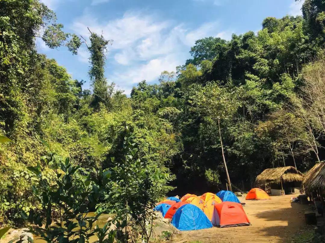 西雙版納研學夏令營 西雙版納研學夏令營